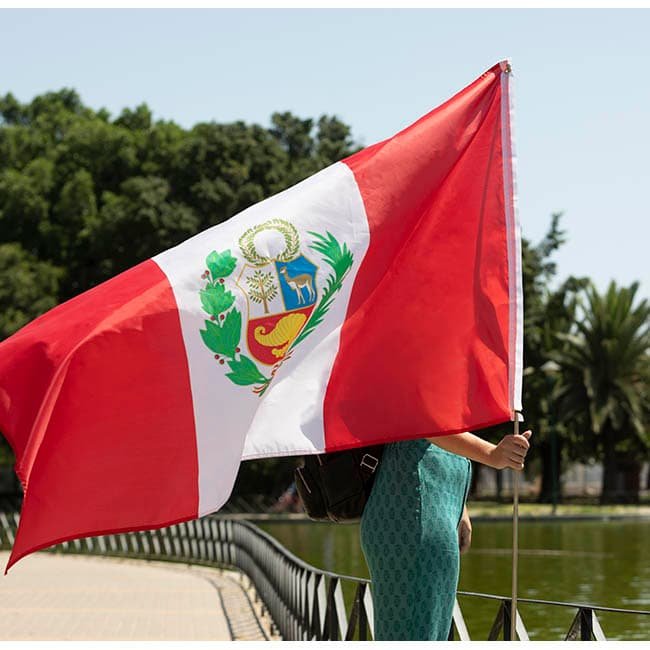 Cuál es el compromiso de la legislación peruana en materia de delitos ambientales en el Perú