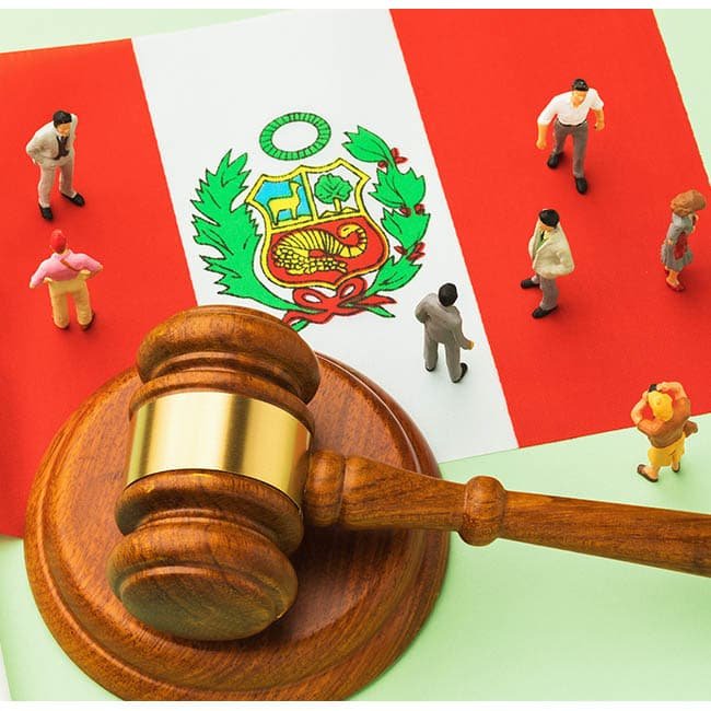Cuáles son las implicaciones legales y la importancia de preservar el orden constitucional en el Perú